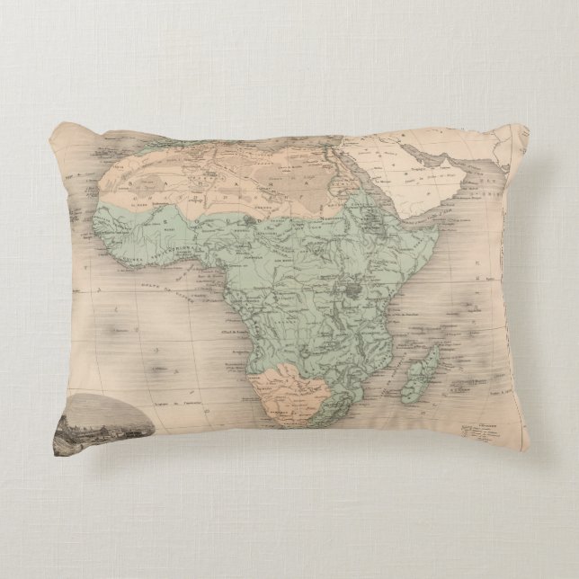 Physics Africa Decorative Pillow (Front)