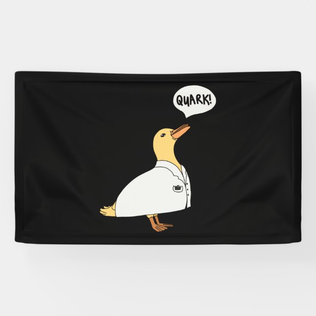 Physics Duck Banner (Horizontal)