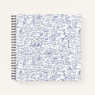 Physics Equations in Blue Pen // Notebook
