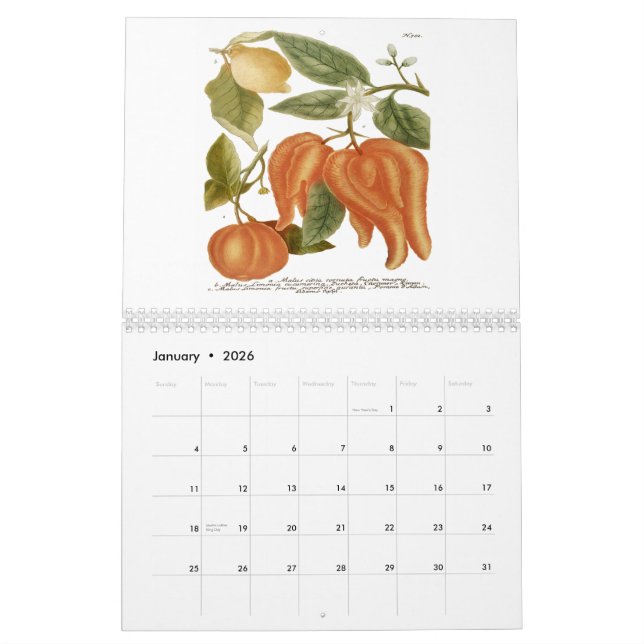 Phytanthoza Iconographia Calendar (Jan 2026)