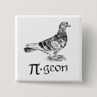 PI-geon 2 Inch Square Button