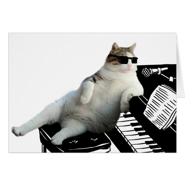 Pianiste de chat aveugle (Devant horizontal)