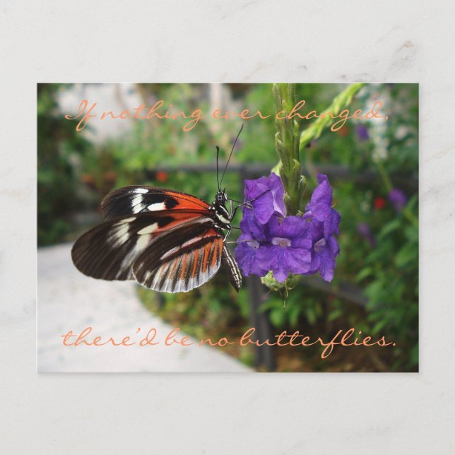 Piano Butterfly Postcard / Quote (Front)