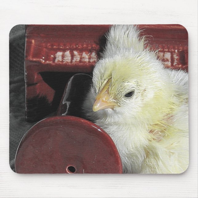 Piano Chick Vintage Look Photo Mouse Pad (Front)