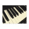 Piano Key Postcard
