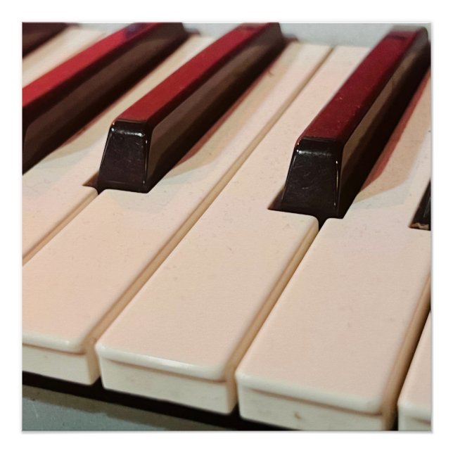 Piano Keyboard Poster  (Front)