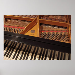 Piano Keys and Pinblock Poster