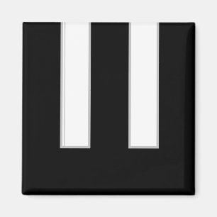 Piano Keys Musical Instrument Black White Magnet