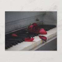 Piano Keys with a Red Rose