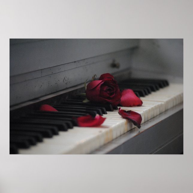 Piano Keys with a Red Rose Poster (Front)