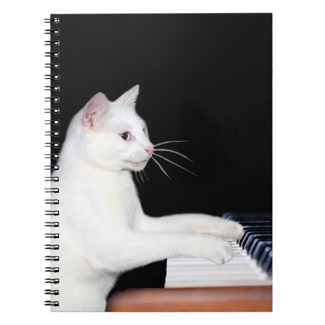 Piano playing cat notebook (Front)