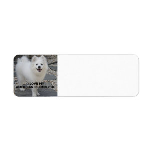 PIC d'American_Eskimo_Dog_love W
