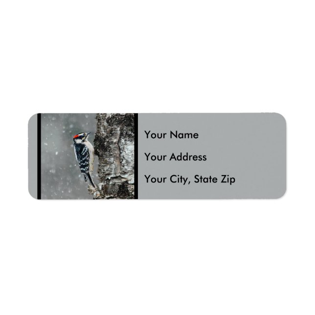 Pic Downy en neige - Photo originale (Devant)