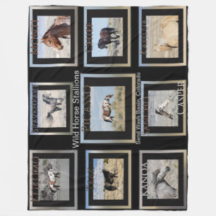 Picasso and Wild Horse Stallions Fleece Blanket