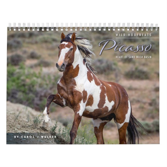 Picasso: Heart of Sand Wash Basin Calendar (Cover)