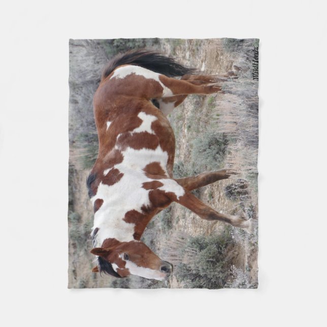 Picasso Icon of Sand Wash Basin,  Colorado Fleece Blanket (Front)