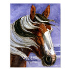 Picasso of Sand Wash Basin HMA