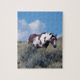 Picasso Puzzle