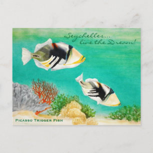 Picasso Trigger Fish Postcard
