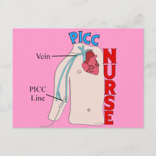 PICC Line Nurse Anatomical Design Gifts Postcard