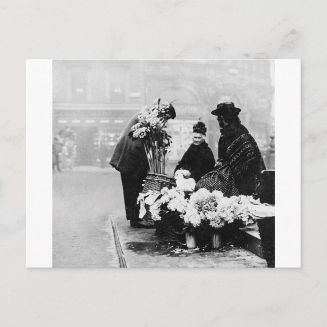 Piccadilly London flower seller, 1904 England Postcard (Front)