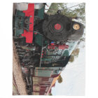 Pichi Richi steam train