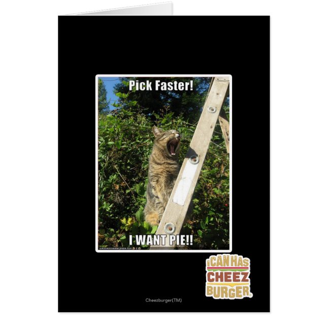 Pick Faster! (Front)