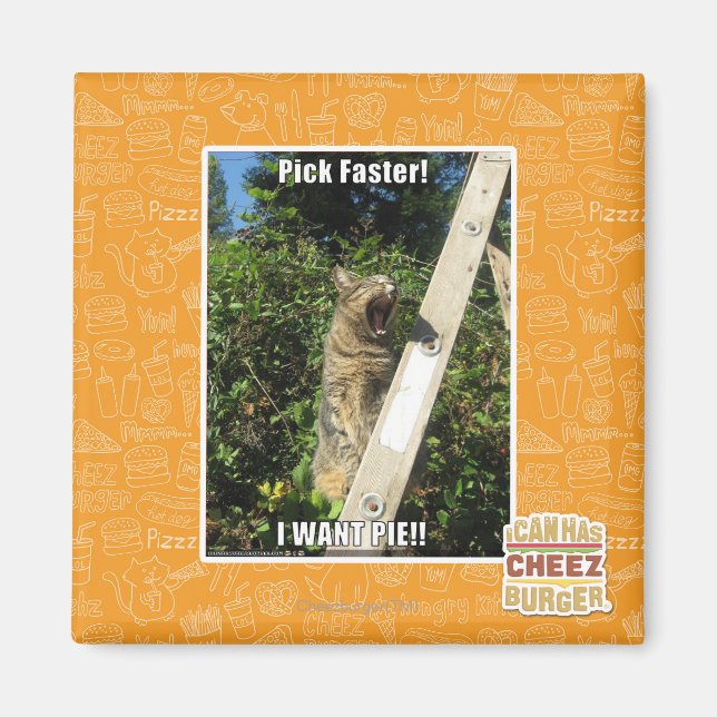 Pick Faster! Magnet (Front)