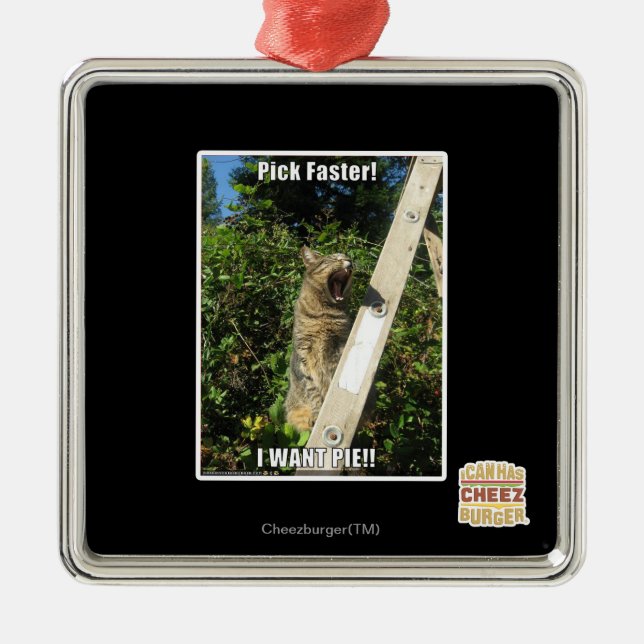 Pick Faster! Metal Ornament (Front)