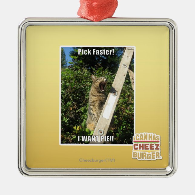 Pick Faster! Metal Ornament (Front)