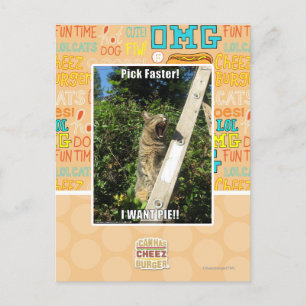 Pick Faster! Postcard