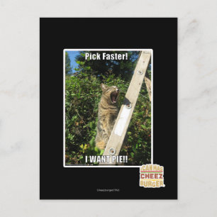 Pick Faster! Postcard