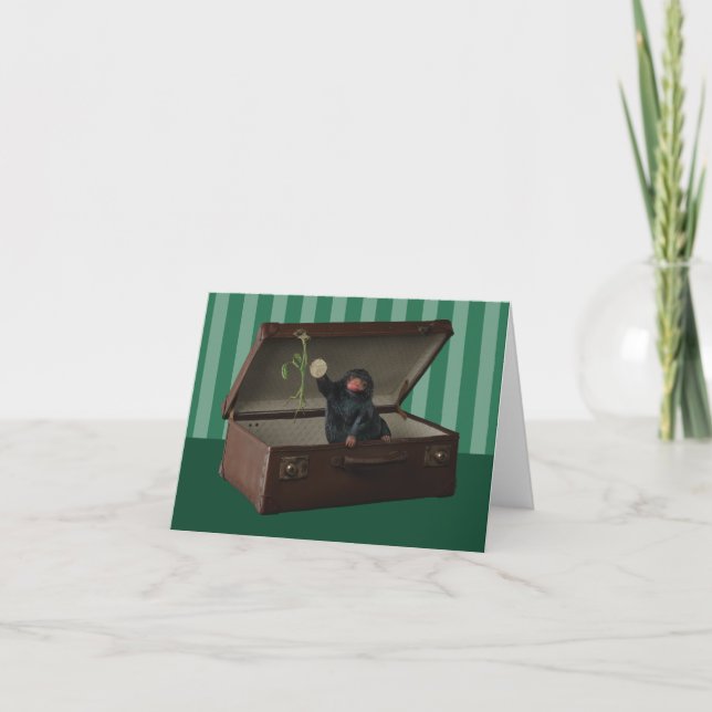 Pickett & Teddy dans Porte-documents (Devant)