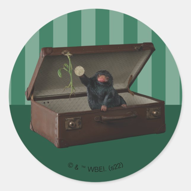 Pickett & Teddy in Briefcase Classic Round Sticker (Front)