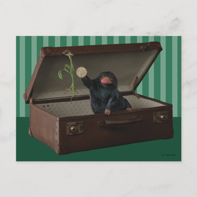 Pickett & Teddy in Briefcase Postcard (Front)