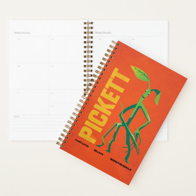 Pickett Vintage Graphic Planner (Display)