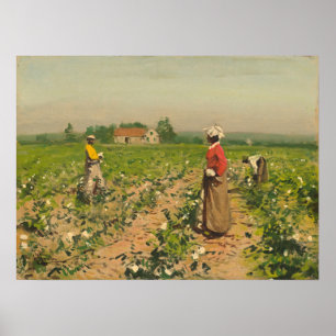 Picking Cotton - William G. Gaul Poster des beaux-