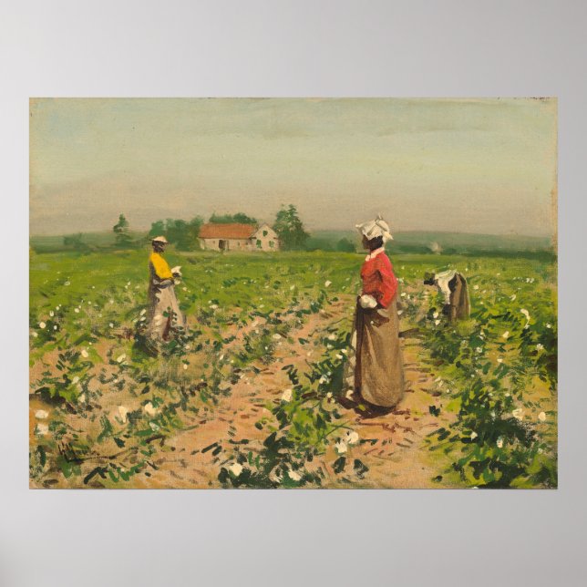 Picking Cotton - William G. Gaul Poster des beaux- (Devant)