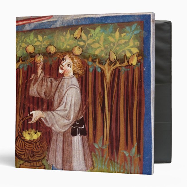 Picking fruit binder (Front/Inside)