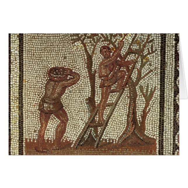 Picking Fruit, Roman Mosaic (Front Horizontal)
