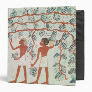 Picking grapes, from the Tomb of Nakht Binder