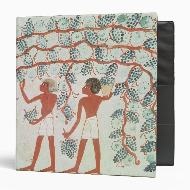 Picking grapes, from the Tomb of Nakht Binder (Front/Inside)