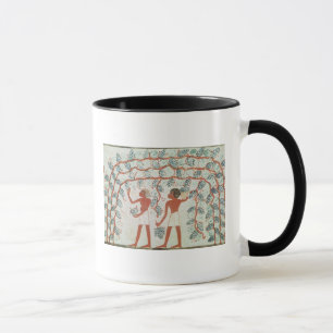 Picking grapes, from the Tomb of Nakht Mug