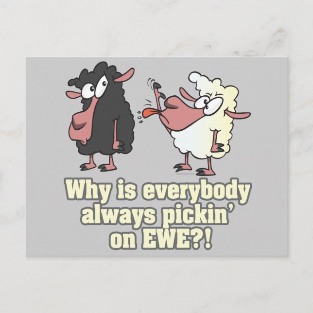 picking on EWE black sheep humour Postcard (Front)