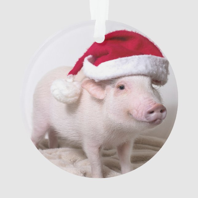 Pickle the Mini Pig Christmas Ornament (Back)