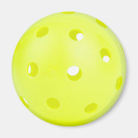 Pickleball magnet