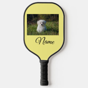 Pickleball Paddle