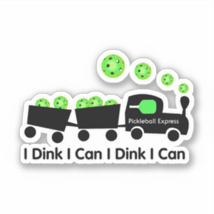 Pickleball Training I Dink I Can Green Ball