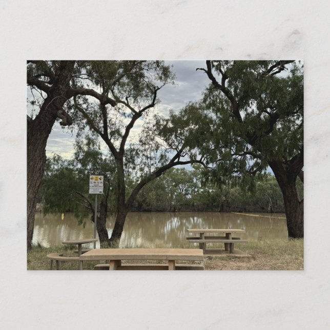 Picnic Area at Tannock Weir. Postcard (Front)