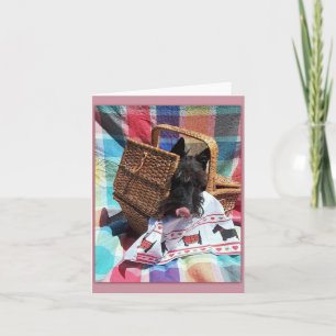 Picnic Fun Note Card